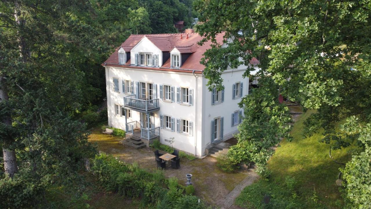 Villa Im Park Wachwitzgrund Drážďany Exteriér fotografie