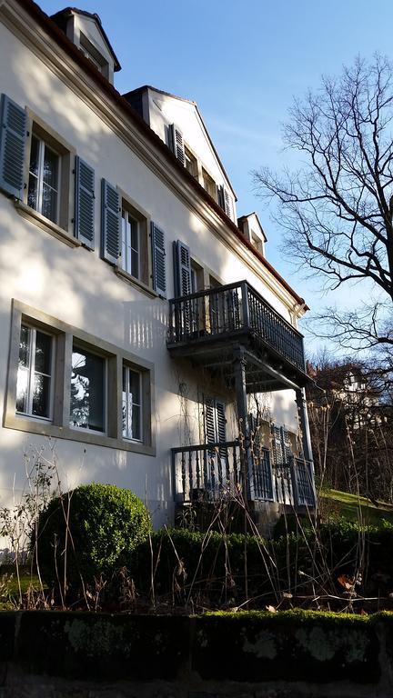 Villa Im Park Wachwitzgrund Drážďany Exteriér fotografie