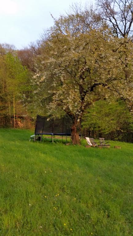 Villa Im Park Wachwitzgrund Drážďany Exteriér fotografie