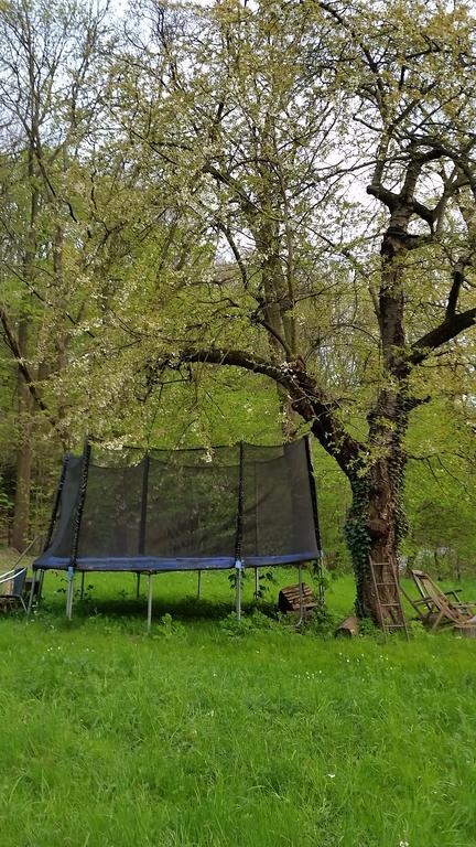 Villa Im Park Wachwitzgrund Drážďany Exteriér fotografie
