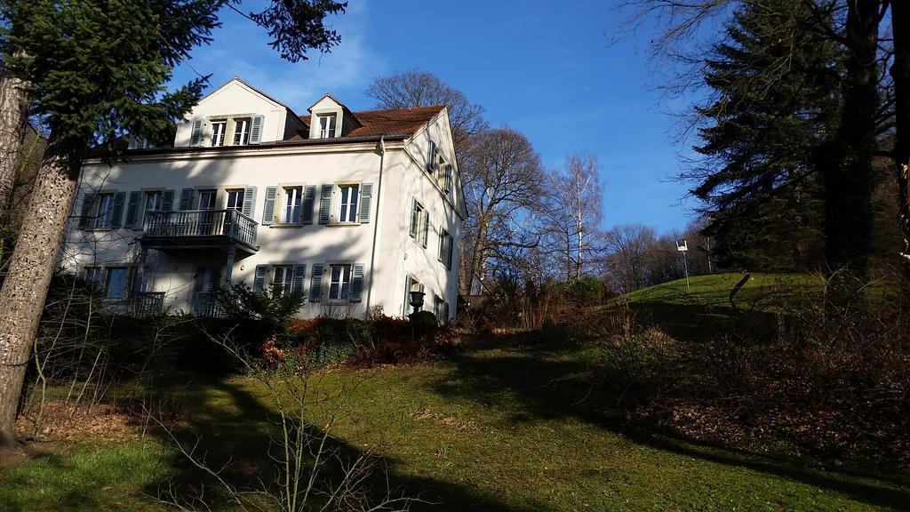 Villa Im Park Wachwitzgrund Drážďany Exteriér fotografie