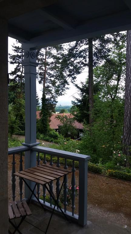Villa Im Park Wachwitzgrund Drážďany Exteriér fotografie